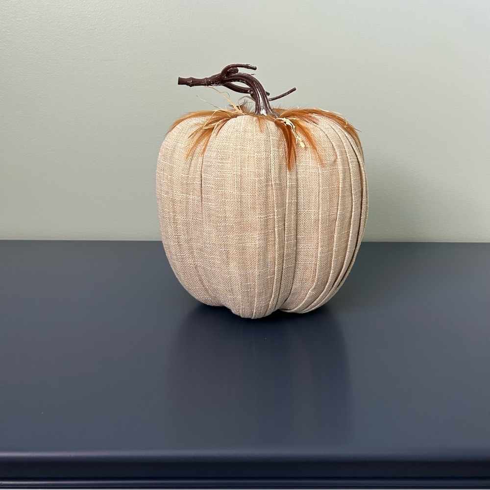 Frontgate Pleated Pumpkin with Feathers